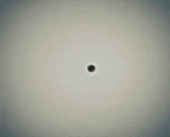 century GIF by Feist