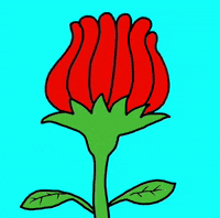 Heart Love GIF