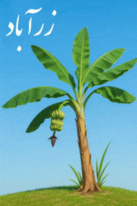 Tree Banana GIF