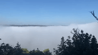 New Jersey Invisible as Dense Fog Rises Over Hudson River