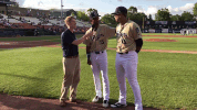kccougars kccougars ozzie GIF