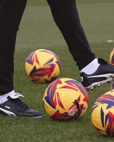 West Brom Championship GIF by West Bromwich Albion