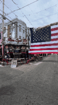 Italian Usa GIF by No Cheese Records