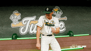 College Baseball Sanchez GIF by GreenWave
