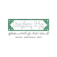 Saudi Arabia Sticker by Jawal Games