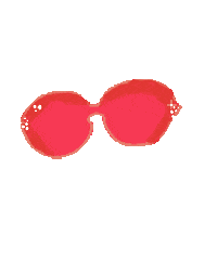 Festival Sunglasses Sticker by sanianitos