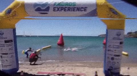swimmingclub giphygifmaker swimming experience andros GIF