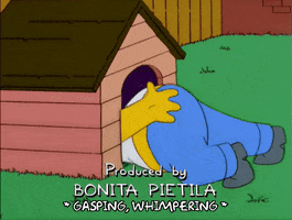 homer simpson GIF