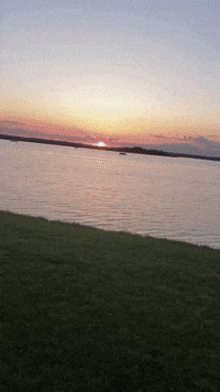 New Jersey Summer GIF by No Cheese Records