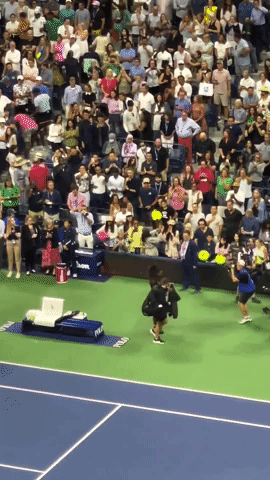 Crowd Cheers for Serena Williams After Final Match