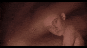 glass house GIF by Morgan Saint