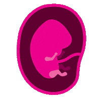 Pro-Life Mutter Sticker by sundaysforlife