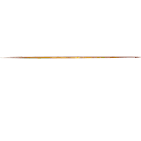 Mato Grosso Zoo Sticker by zoofertil