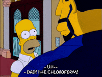homer simpson GIF