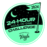 Hole In One Event Sticker by Waggle Golf
