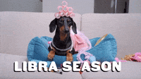 Libra Season