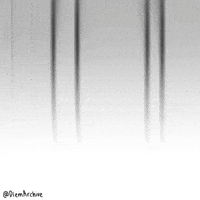 Demon Finish GIF