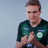 fifa 18 football GIF by VfL Wolfsburg
