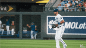 MomentumFilms baseball momentum royals kansas city GIF