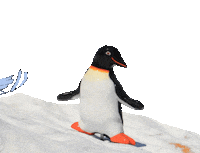 Christmas Sledding Sticker