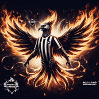 Futebol Bfr GIF