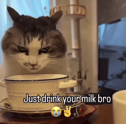 Cat Drinking Milk Meme GIF