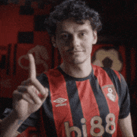 Premier League No GIF by AFC Bournemouth