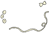 Bow Tie Food Sticker by teganiversen