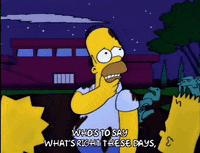 homer simpson GIF