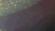 uniondocs documentary uniondocs silica flahertynyc GIF