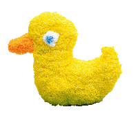 EducationalInsights duck bathtime playfoam Sticker