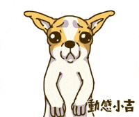 Animation Dog GIF