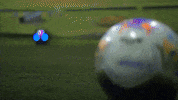 GIF by Sport Club do Recife