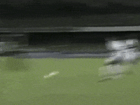 alex chapeu GIF by SE Palmeiras