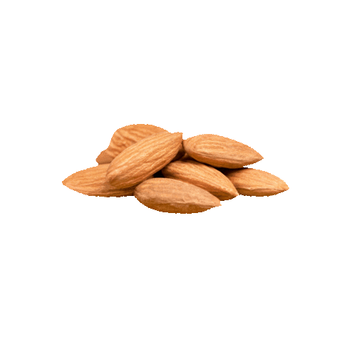 Nuts Almonds Sticker by Kleine Haaskraal