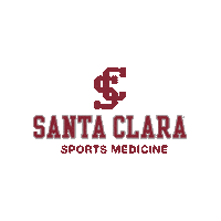 Santa Clara University Go Broncos Sticker by Santa Clara Broncos