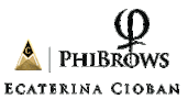phi-trainings microblading phibrows micro blading phi academy Sticker