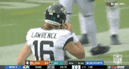 Jacksonville Jaguars Football GIF by NFL