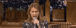 jimmy fallon no GIF by The Tonight Show Starring Jimmy Fallon