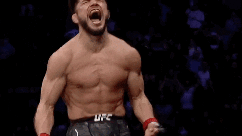 Mixed Martial Arts Knockout GIF by ESPN