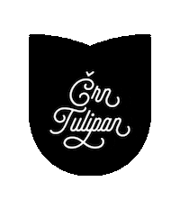 Trans Tulipan Sticker by FeKK