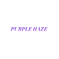 purple haze neon Sticker by INFSD