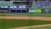Blue Jays Baseball GIF by Toronto Blue Jays
