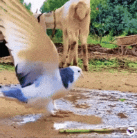 To The Moon Nft GIF by Web3 Newswire