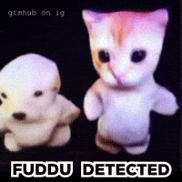 India GIF