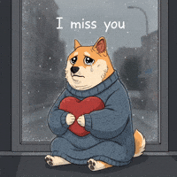 Sad I Miss You GIF by Doge Pound