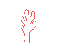 coralstudio ocean sea marine coral Sticker