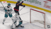 Celebrate Ottawa Senators GIF by NHL