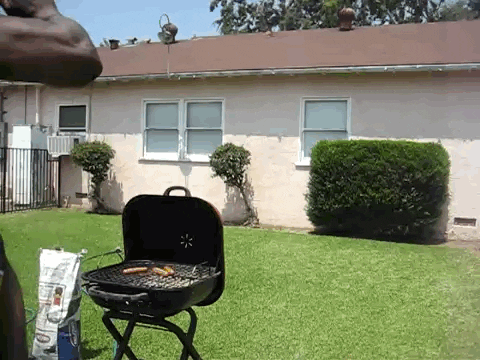 barbecue GIF