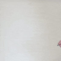 rfkracing america walking nascar american flag GIF